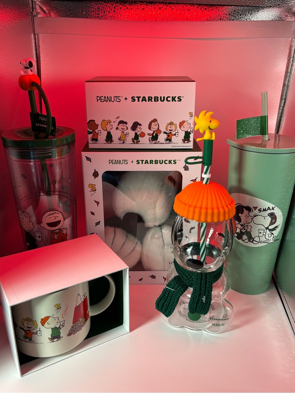 5 Piece Peanuts Collection by Starbucks!